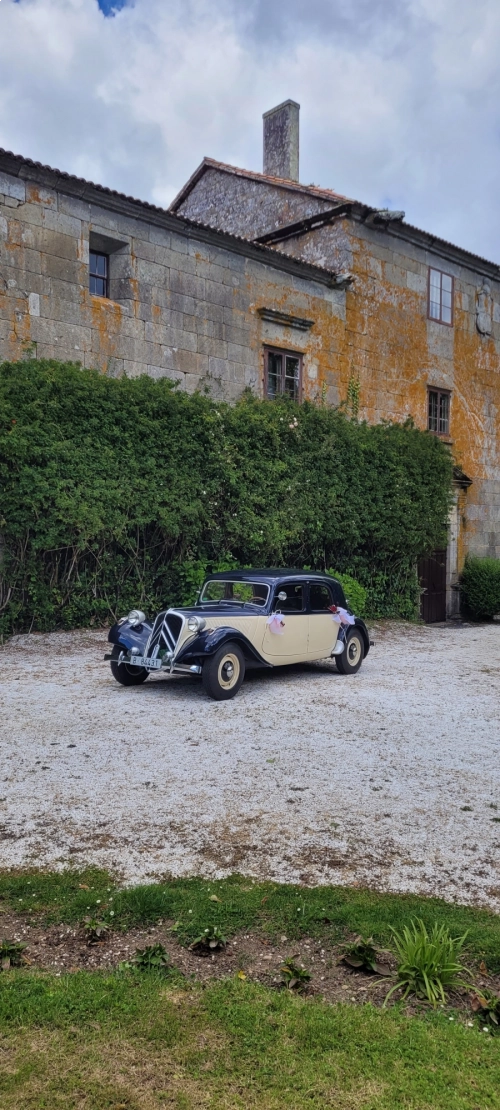 El Pato de Boda