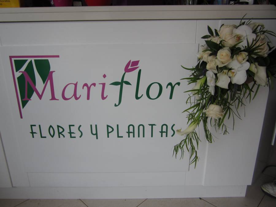 Flores Y Plantas Mariflor