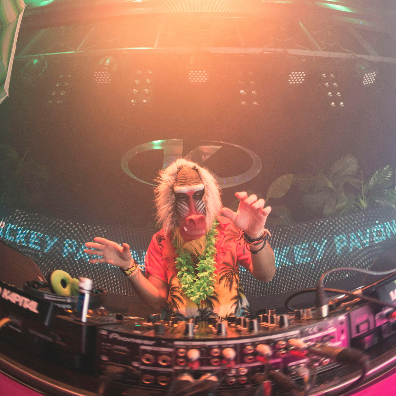 dj mickey pavon