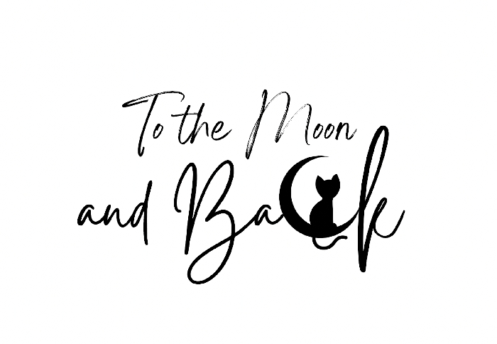 To The Moon and Back Wedding Planner